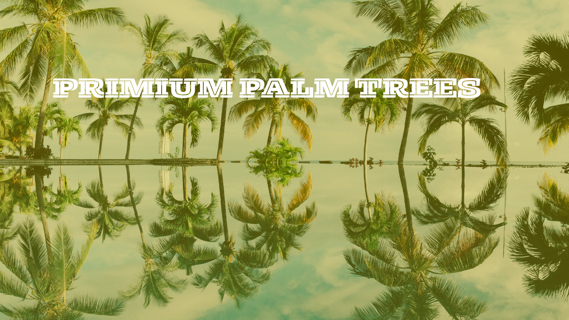 Premium palm trees adding tropical luxury to a garden landscape.